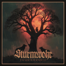 Sturmwehr - Feuerregen - CD
