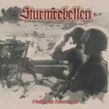 STURMREBELLEN - NATION IM FADENKREUZ - CD