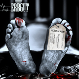 ERBGUT- Nordmann